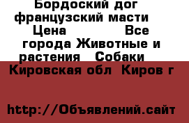 Бордоский дог ( французский масти)  › Цена ­ 50 000 - Все города Животные и растения » Собаки   . Кировская обл.,Киров г.